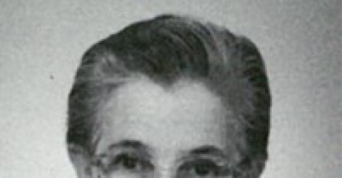 Maria José Chambel